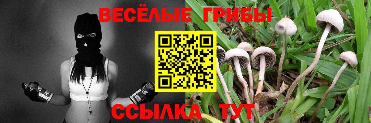 Галлюциногенные грибы мухоморы  Галлюциногенные грибы мицелий  Вход с VPN  Ессентуки 